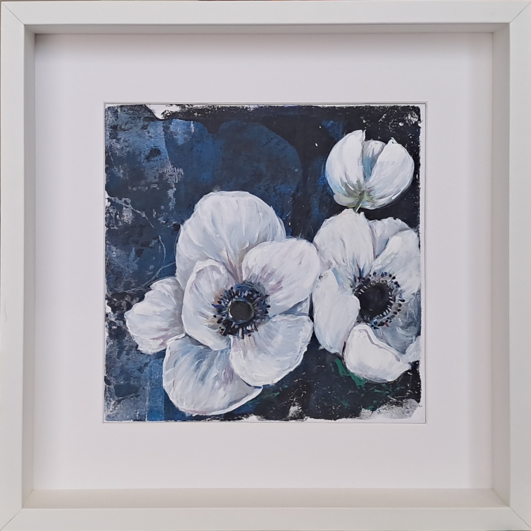 Anemone