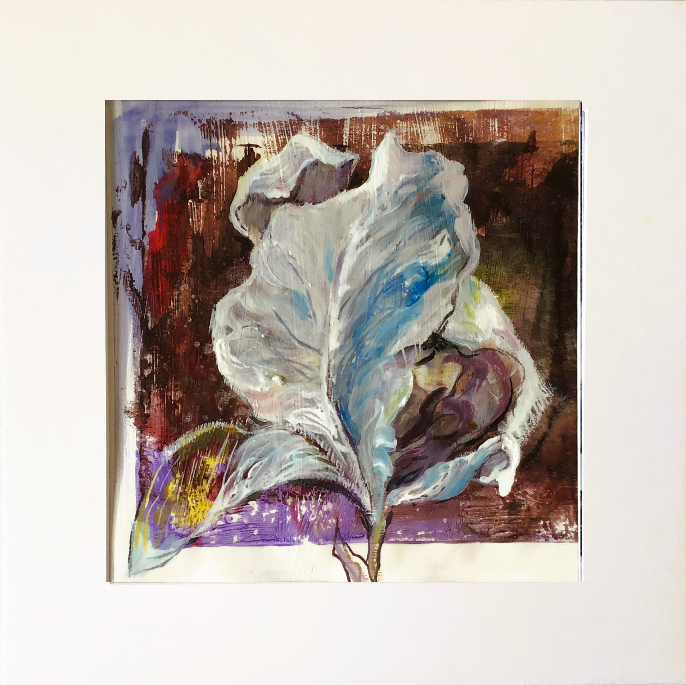iris