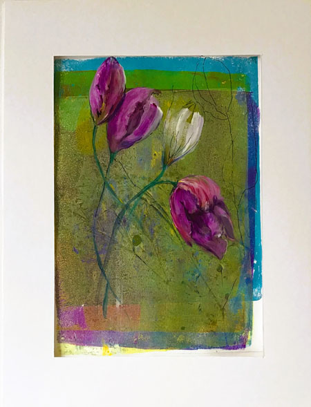 Tulipano